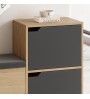 Παπουτσοθήκη χρώμα sapphire oak - ανθρακί 101x35x80,4εκ.