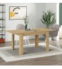 Τραπέζι επεκτεινόμενο χρώμα sapphire oak 120/170x80x75εκ.