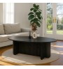 Τραπεζάκι σαλονιού χρώμα sencron black 120x60x39,8εκ.