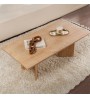 Τραπεζάκι σαλονιού χρώμα sapphire oak 119x60x40εκ.