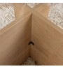 Τραπεζάκι σαλονιού γυάλινο χρώμα honey oak 105x65x40εκ.