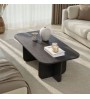Τραπεζάκι σαλονιού χρώμα black wood 120x60x41,4εκ.