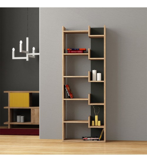 Βιβλιοθήκη χρώμα Φυσικό Ανθρακί 60x22x162εκ.