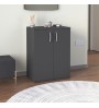 Παπουτσοθήκη-Ντουλάπι χρώμα ανθρακί 60x38x81,4εκ.