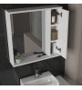 Καθρέπτης Μπάνιου Με ντουλάπακι Λευκό 65x15x65εκ.