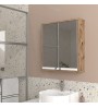 Καθρέπτης Μπάνιου χρώμα Πεύκο 60x15x65εκ.
